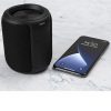 Streetz Black IPX7 Waterproof Bluetooth Speaker CM765
